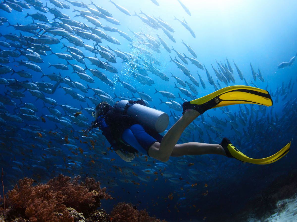 Panorama-RifftourvrDiKLWU17egm Safagatour Panorama Reef