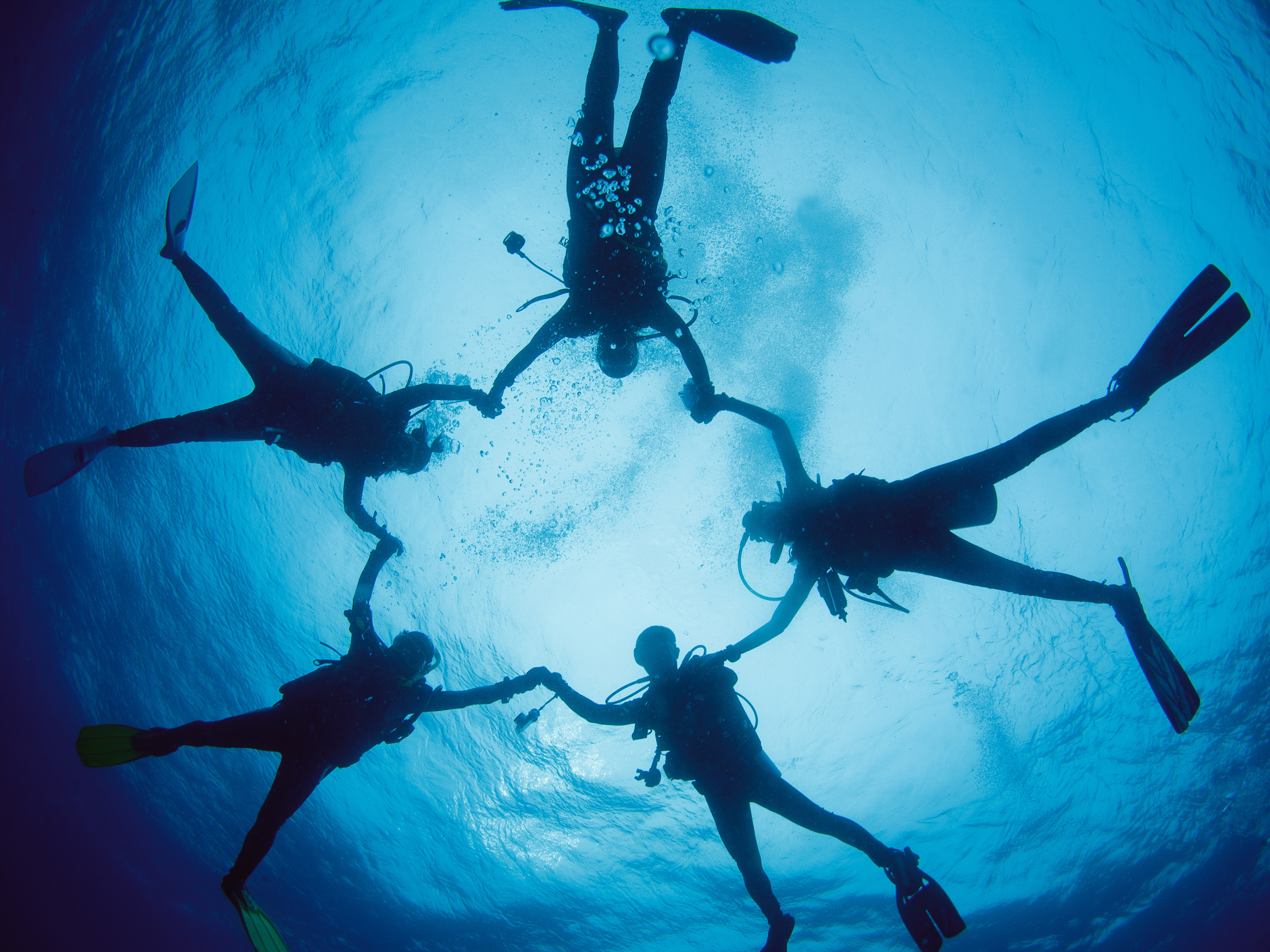 Family dive package - Let’s dive together! Family dive package - Let’s dive together!
