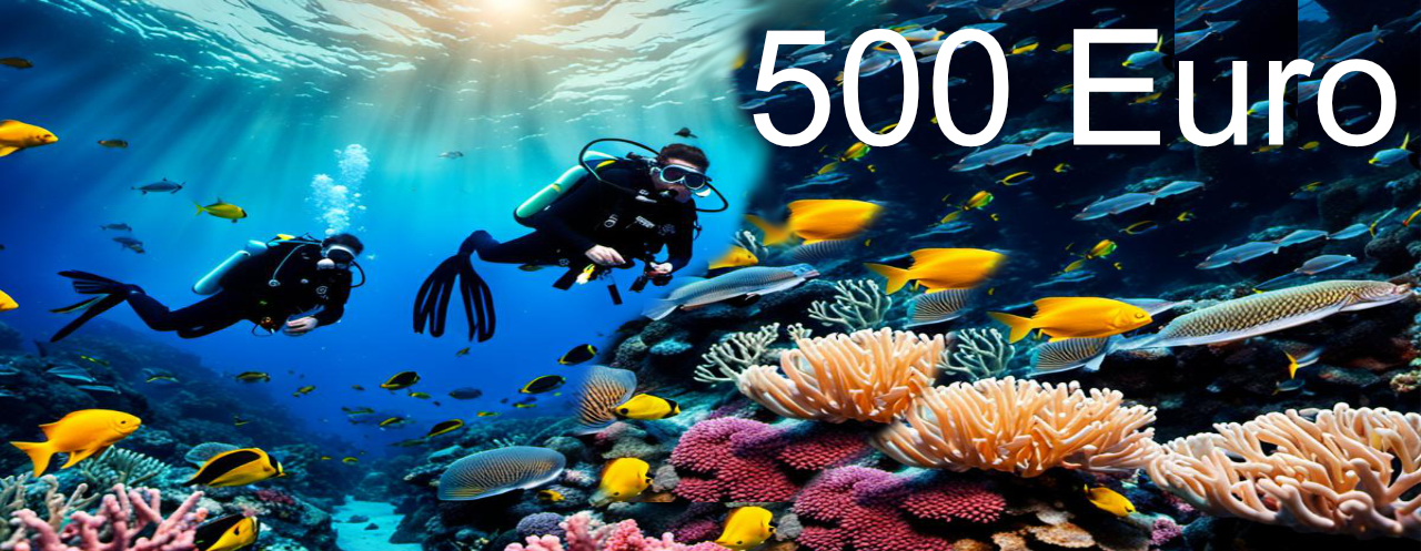 500,00 Euro